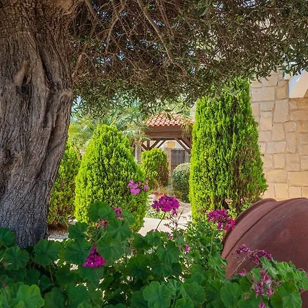 Villa Bimini Argaka