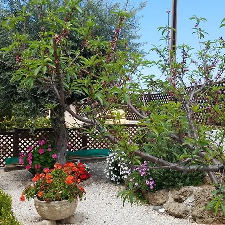 Bimini